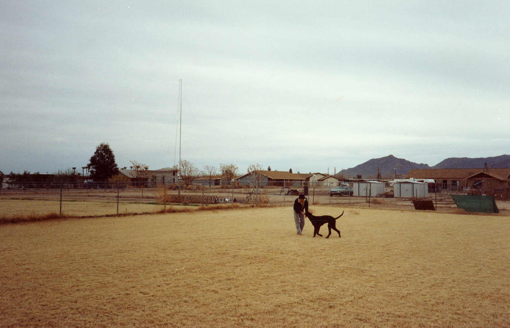 Image 46